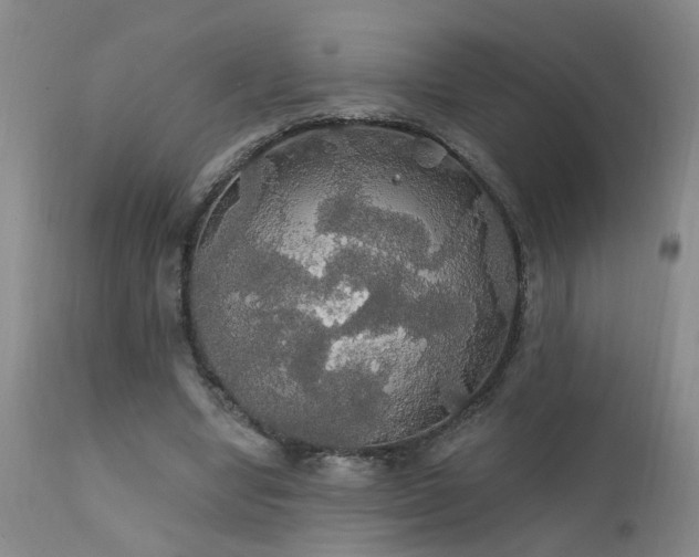 X0000111910442200907271225