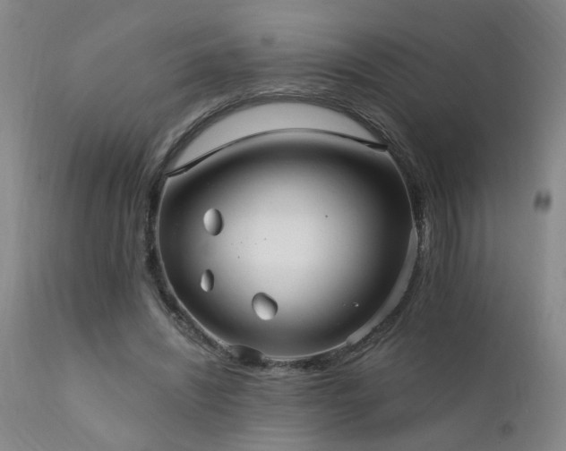 X0000111910444200907271225