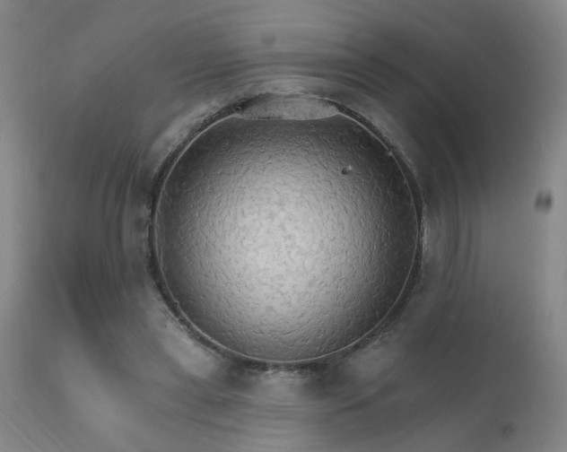 X0000111910445200907271225
