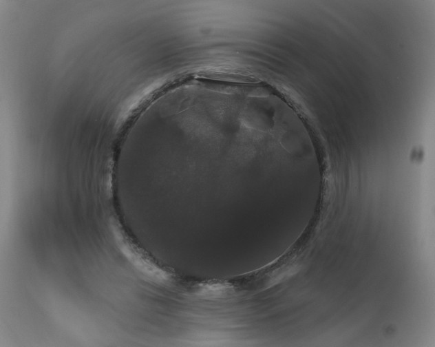 X0000111910446200907271225