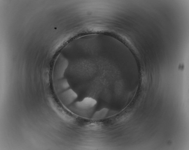 X0000111910447200907271225