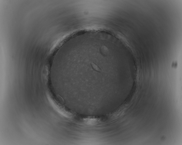 X0000111910448200907271225