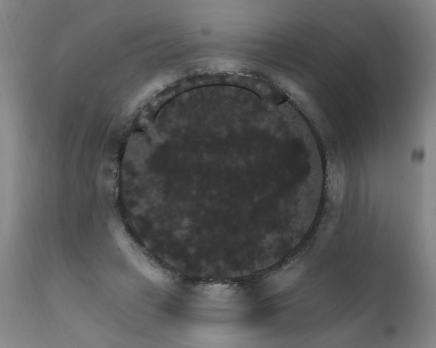 X0000111910449200907271226