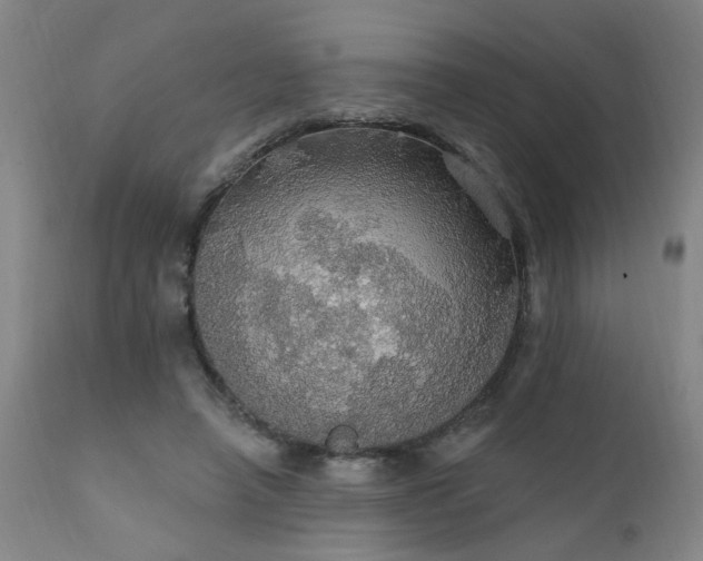 X0000111910450200907271226