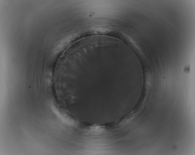 X0000111910451200907271226