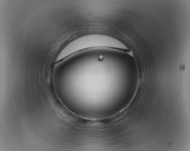 X0000111910452200907271226