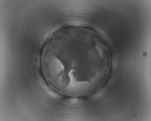 X0000111910453200907271226