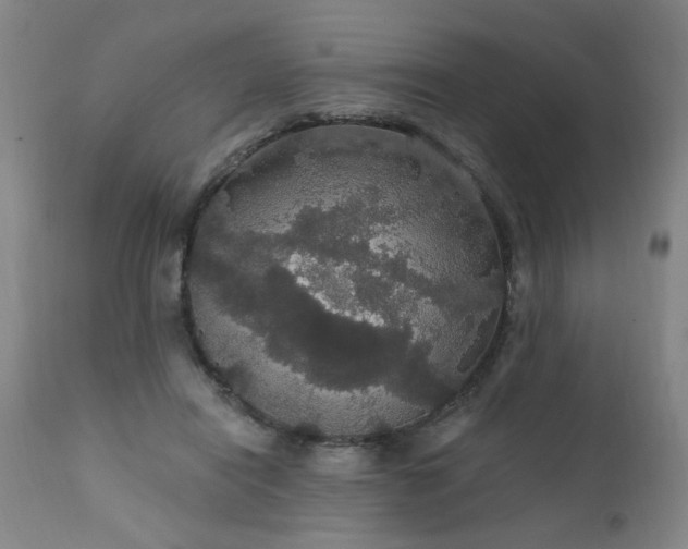 X0000111910454200907271226