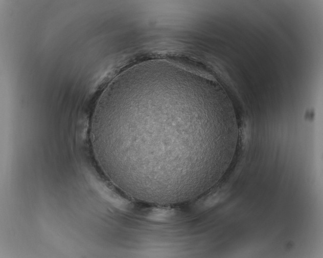 X0000111910458200907271226