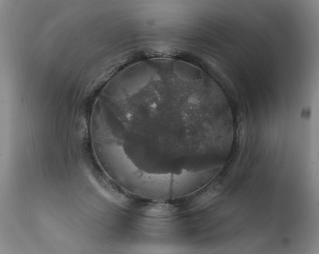X0000111910459200907271226