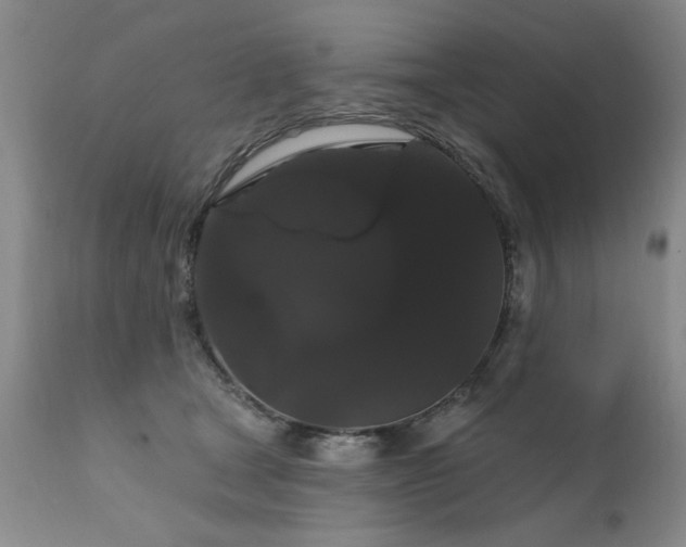 X0000111910465200907271226