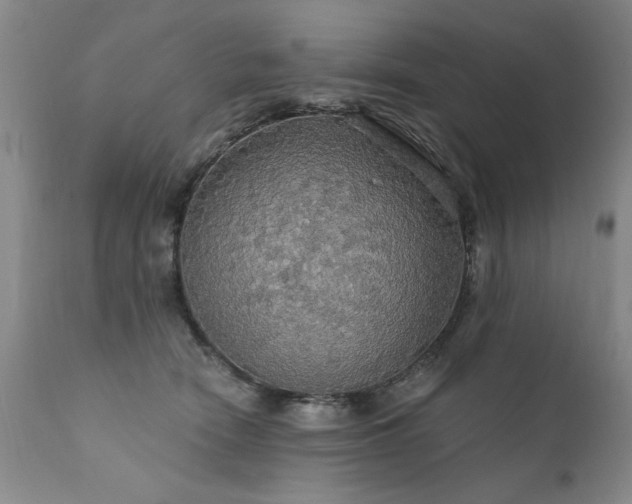X0000111910466200907271226