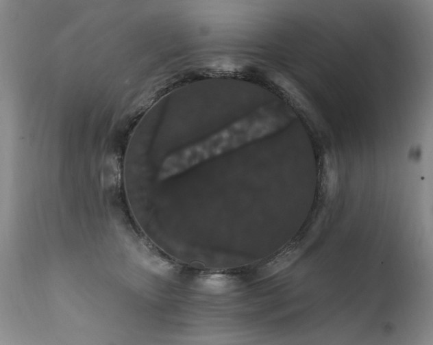 X0000111910467200907271226