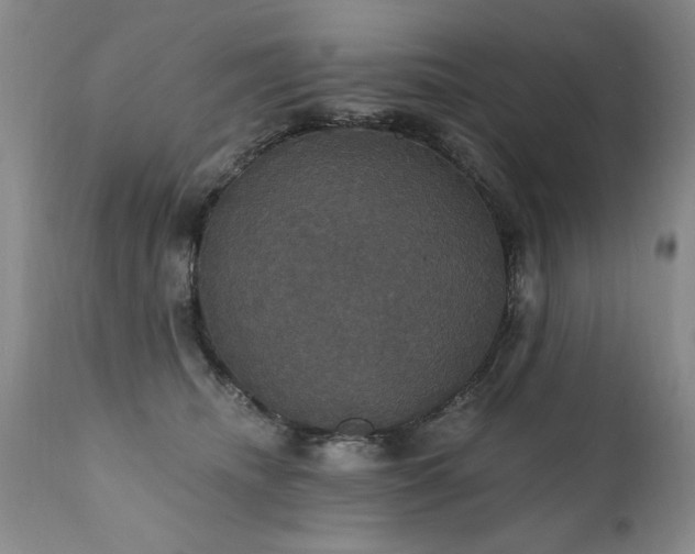 X0000111910468200907271226