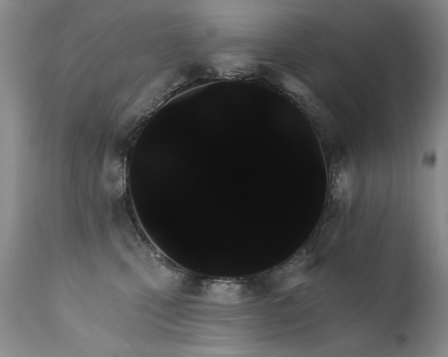 X0000111910471200907271226