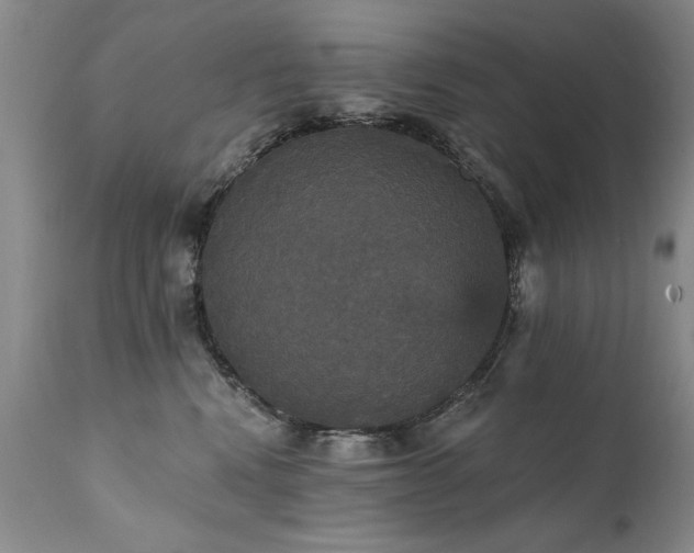 X0000111910472200907271226
