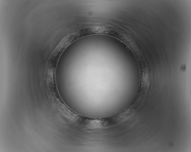X0000111910473200907271226