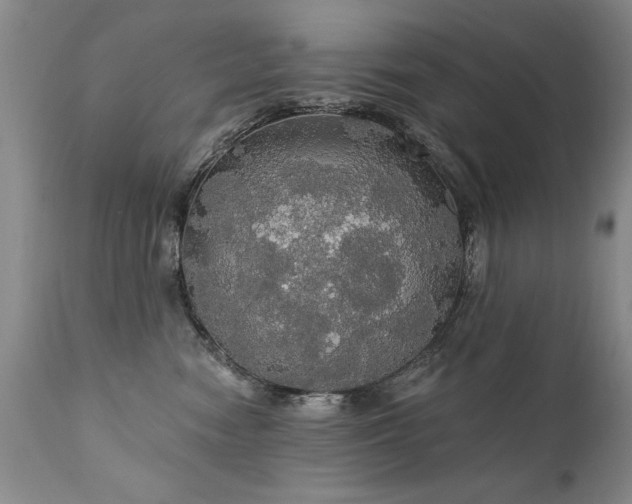 X0000111910474200907271226