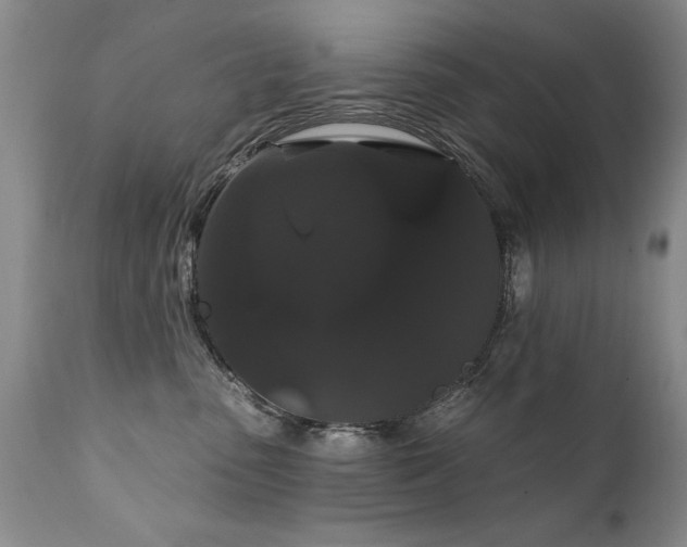 X0000111910475200907271226