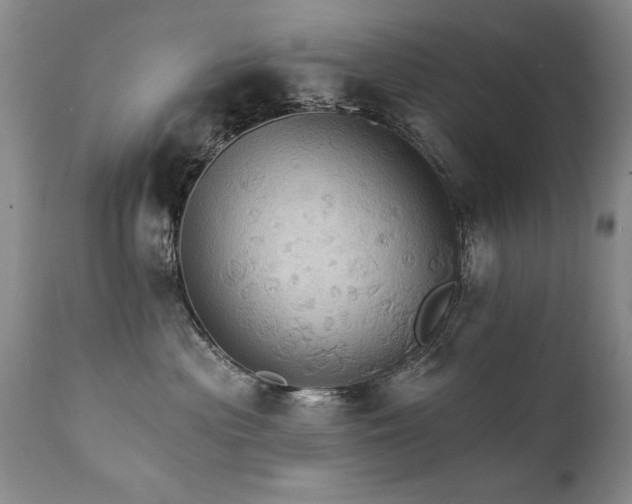 X0000111910477200907271226