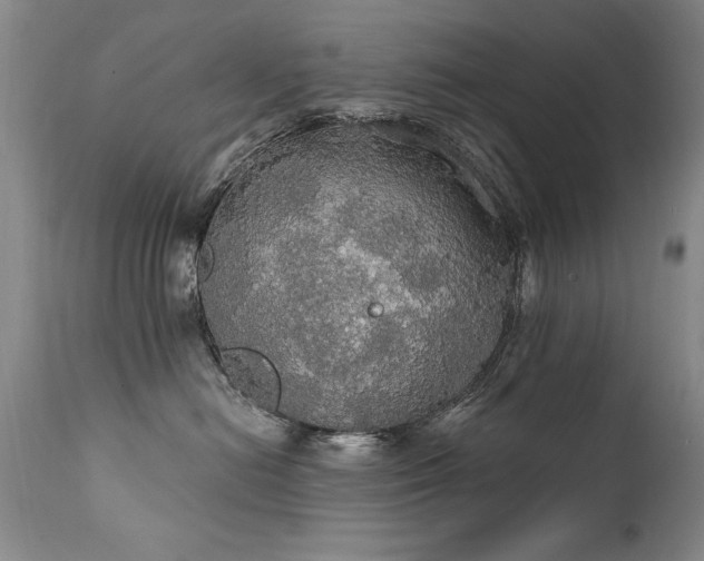 X0000111910478200907271226