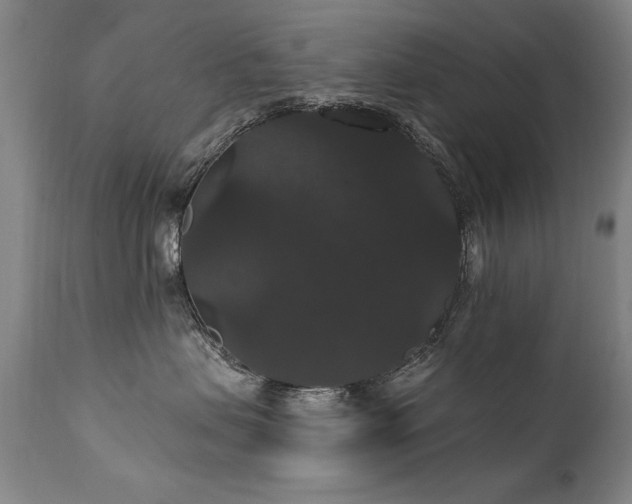 X0000111910479200907271226