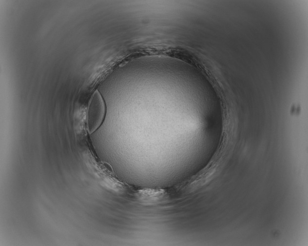 X0000111910480200907271226