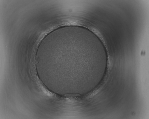 X0000111910481200907271225
