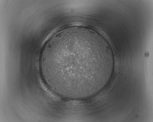 X0000111910482200907271225