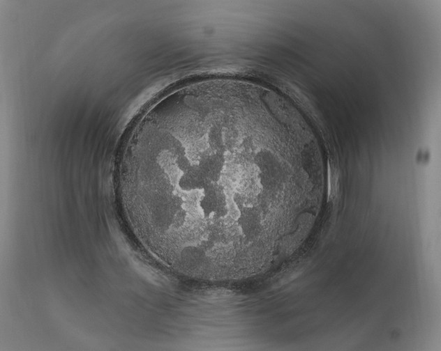 X0000111910483200907271225