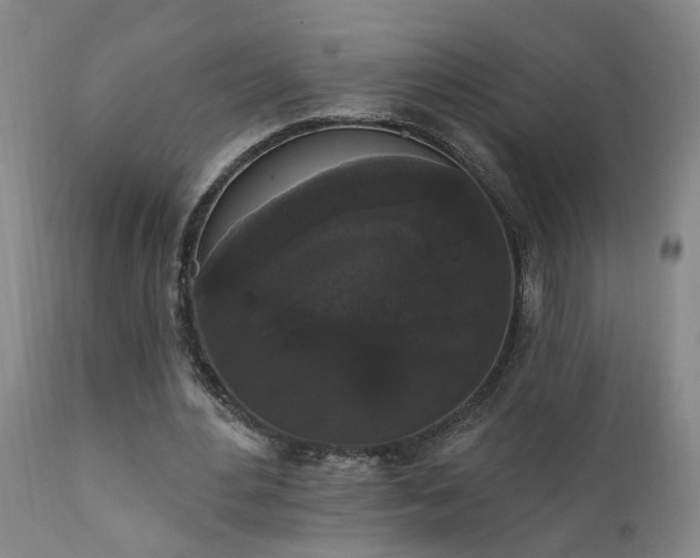 X0000111910484200907271225