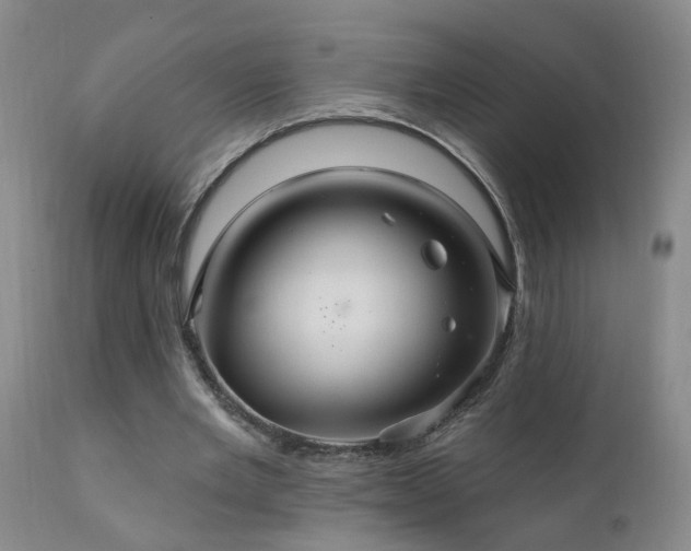 X0000111910485200907271225