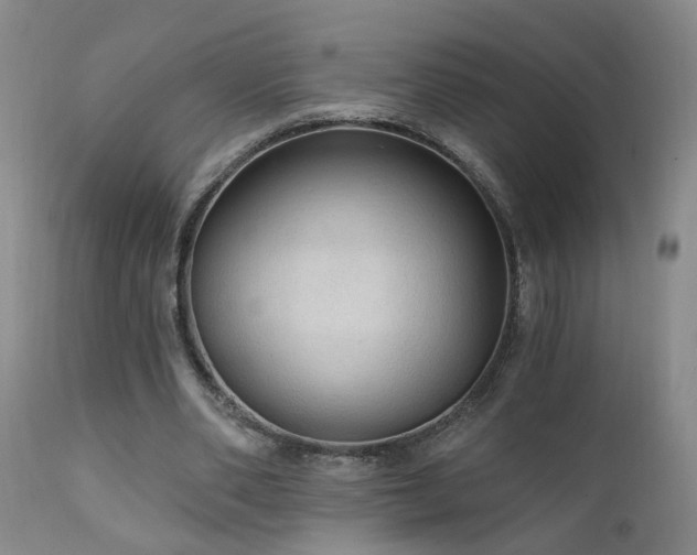 X0000111910486200907271225