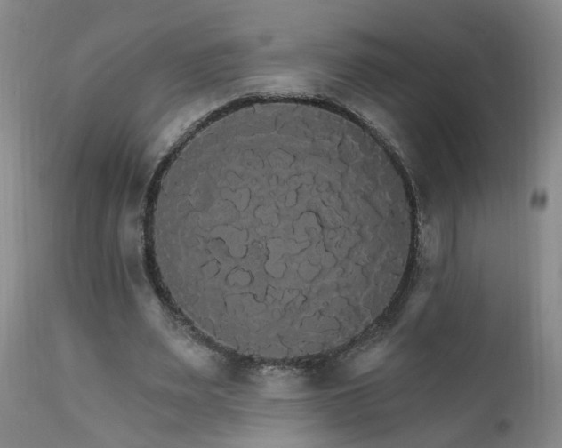 X0000111910487200907271225
