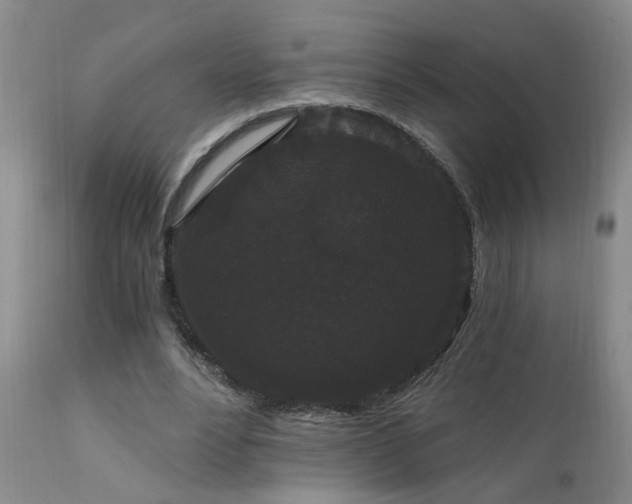 X0000111910488200907271225