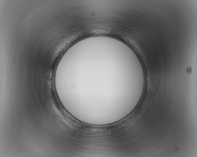 X0000111910490200907271225