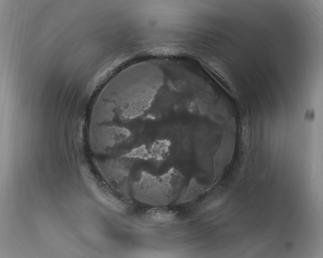 X0000111910491200907271225