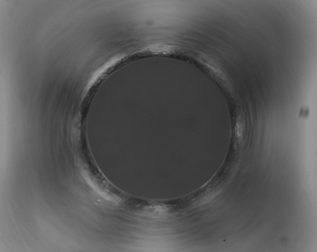 X0000111910492200907271225