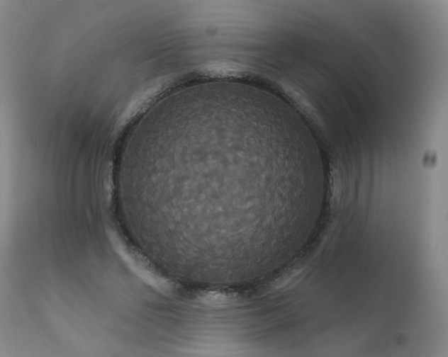 X0000111910494200907271225