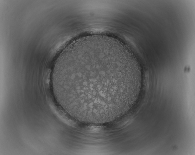 X0000111910495200907271225