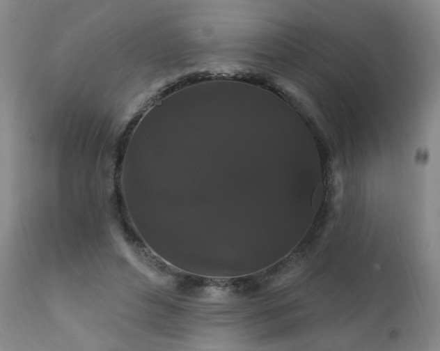 X0000111910496200907271225