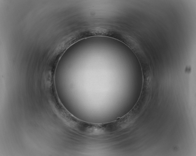 X0000111910498200907271225
