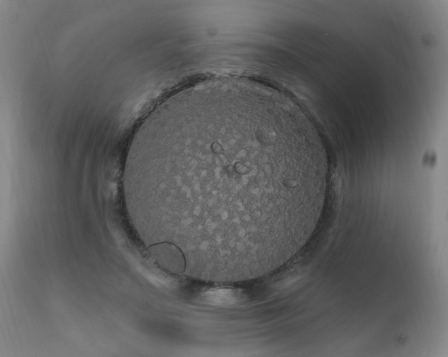 X0000111910499200907271225