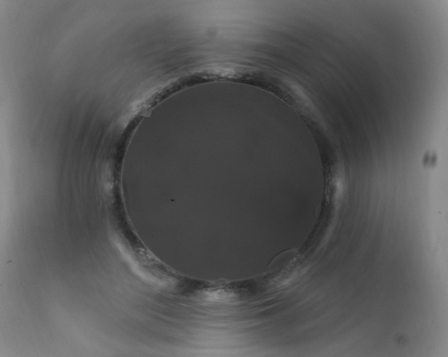 X0000111910500200907271225