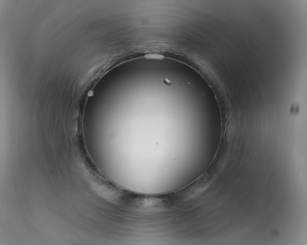 X0000111910501200907271225