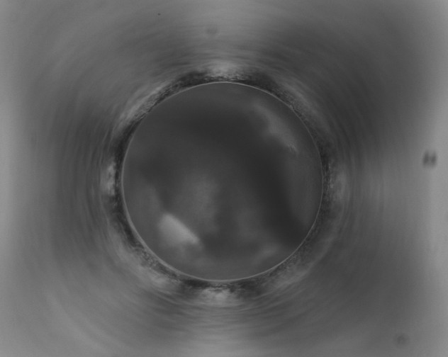 X0000111910502200907271225