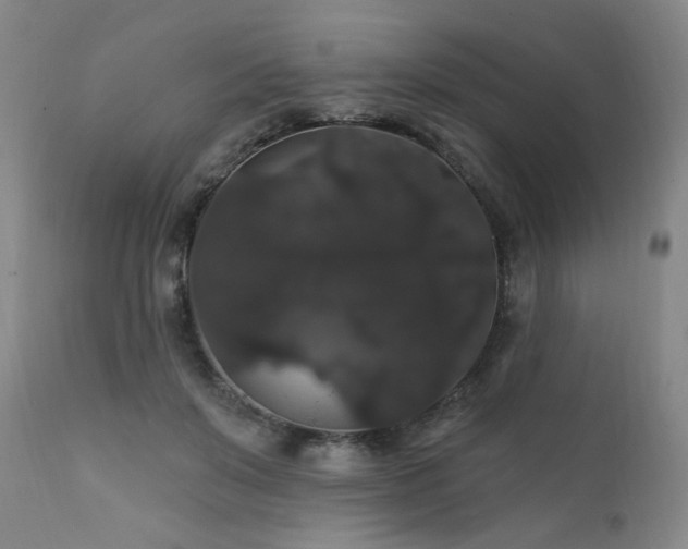 X0000111910503200907271225
