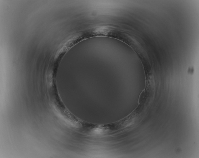 X0000111910504200907271225
