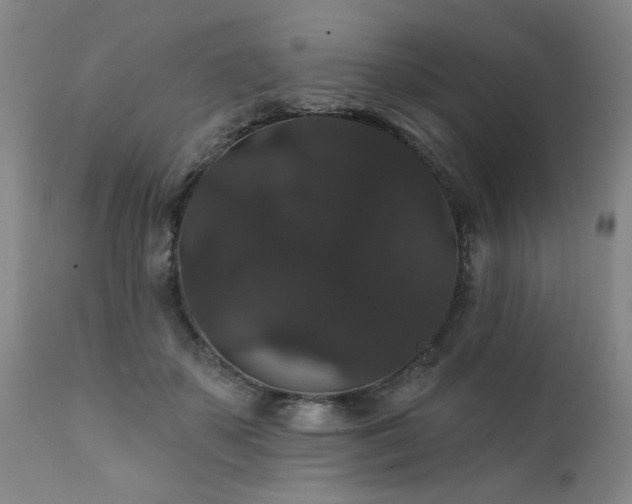 X0000111910507200907271225