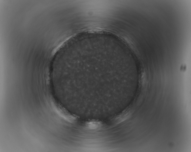 X0000111910508200907271225